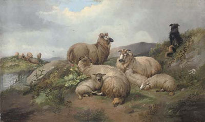Sheep and lambs with a sheep dog on a hillside