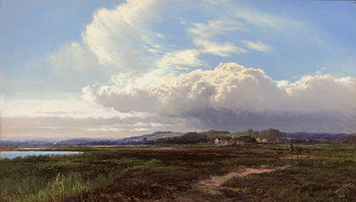 Sunshine on the heath