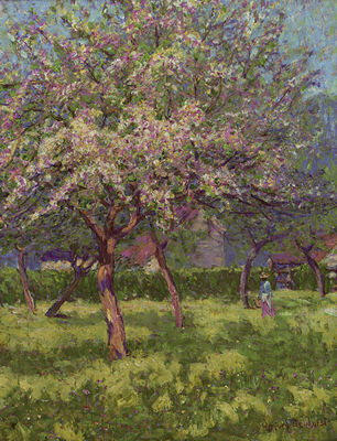 An orchard in bloom