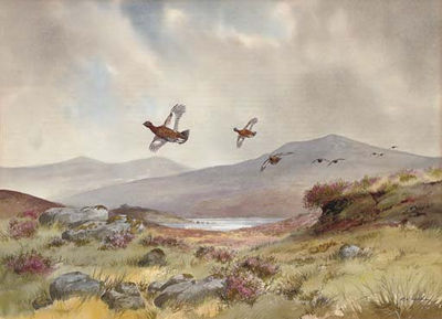 Grouse over the moors