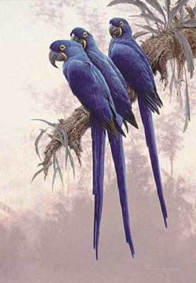 Sample artwork by David Ord Kerr (Born 1952), known for wildlife art movement, realism, attention to detail - View similar artists and auction records