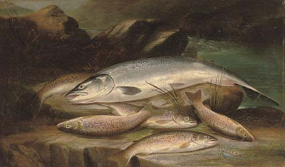A successful day's fishing