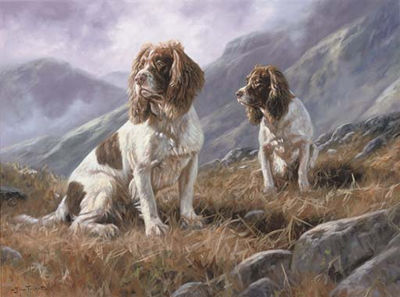 Springer spaniels on the moor by John Trickett - Auction record, sale price, and art valuation. Compare with similar artists and explore comparable artworks.