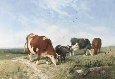 Cattle on a summer's day