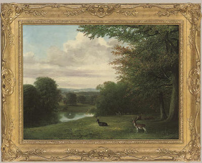 A herd of deer, early evening
