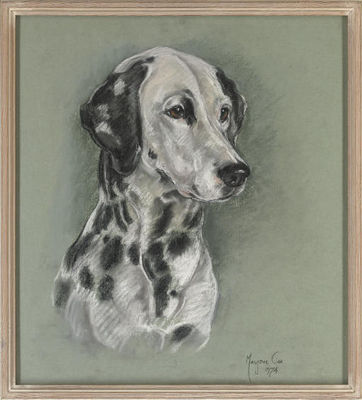 Dalmation by Marjorie Cox - Auction record, sale price, and art valuation. Compare with similar artists and explore comparable artworks.