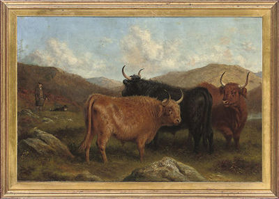 A day in the highlands