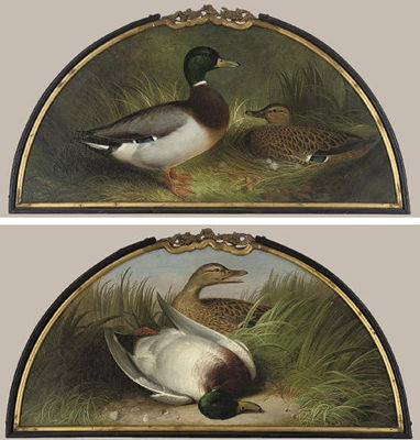 Making a nest; and A great shot
