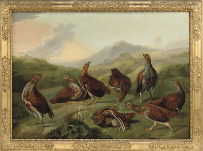 A covey of partridges in a landscape
