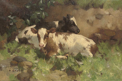 Ayrshire calves