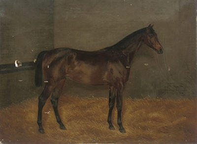 Dunlop, when a yearling