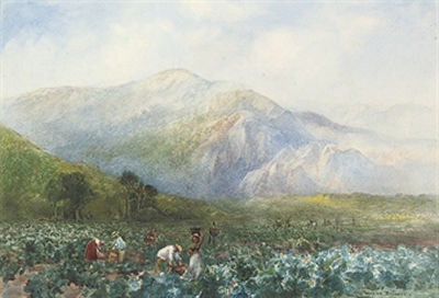 Artwork by Alfred J Warne-Brown