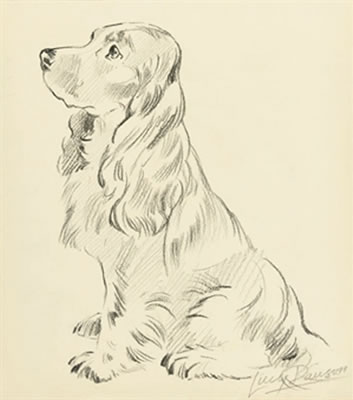 Five studies of dogs including: A cocker spaniel; and A terrier by Lucy Dawson - Auction record, sale price, and art valuation. Compare with similar artists and explore comparable artworks.