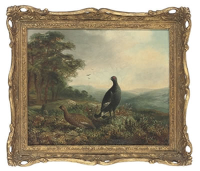 A black grouse and hen in an extensive landscape