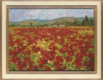 A field of poppies