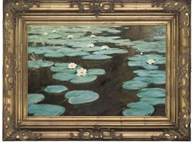 Lily pond