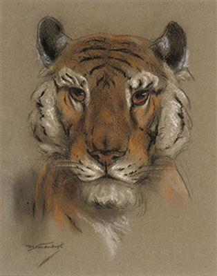 A head of a tiger (illustrated); and A head of a lion (2)