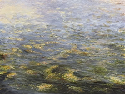 Riverweed 2