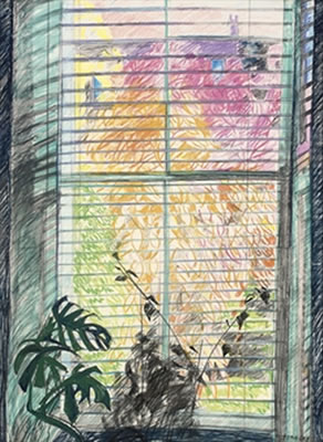 Black Fern Morning