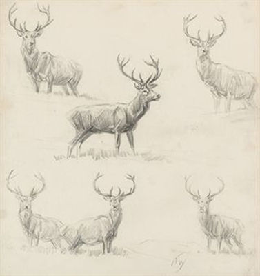 A sheet of studies of stags