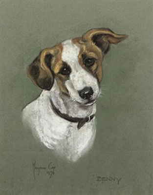 Study of the Jack Russell 'Benny'
