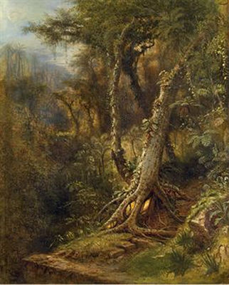 Cuban jungle