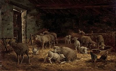 Sheep and poultry in a barn