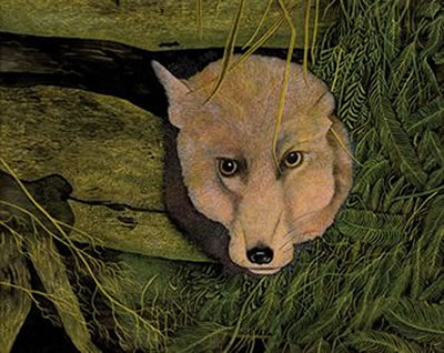 Fox in Lair