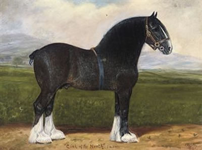 Cock of the North