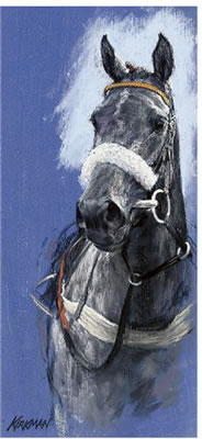 Winner in Noseband