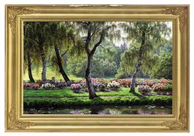 Hydrangeas along a riverbank