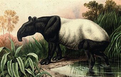Sample artwork by Charles Edward Brittan (1837 - 1888), known for painting - View similar artists and auction records