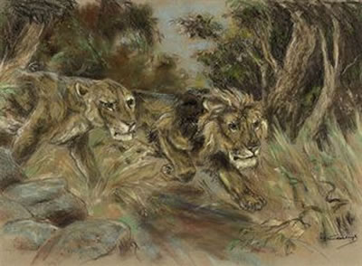 Lions on the prowl
