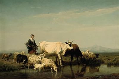 A herder watering her livestock