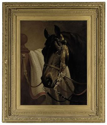 Coomassie, by King Tom, out of Mahala