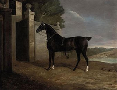 A carriage horse at the stable gates