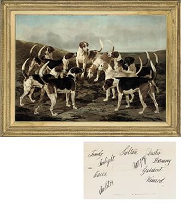 The hounds from York & Ainsty Kennels