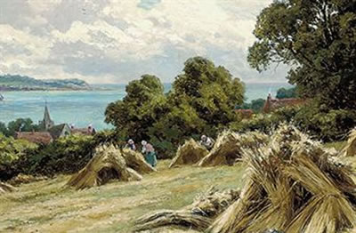 Harvesting on the Sussex coast