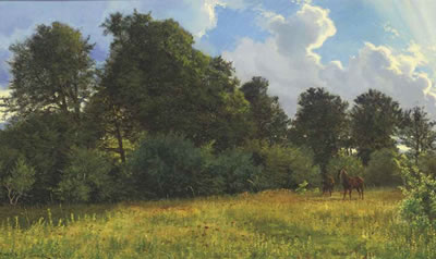 Bay horses tethered in pasture