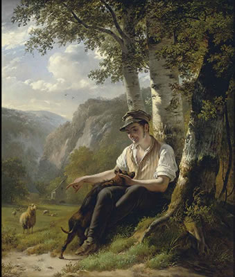 The shepherd's rest