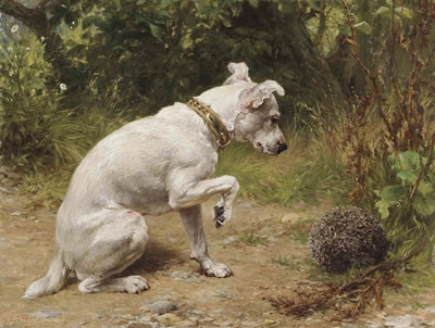 A prickly encounter by George Augustus Holmes - Auction record, sale price, and art valuation. Compare with similar artists and explore comparable artworks.