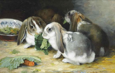 Lop-eared rabbits