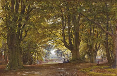 Playing in the Beech Wood