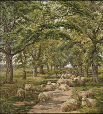 Sheep resting on a tree-lined path by Charles Jones - Auction record, sale price, and art valuation. Compare with similar artists and explore comparable artworks.