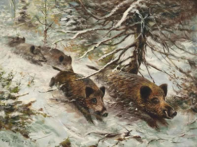 Wild boars running in the forest