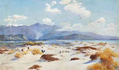 Cattle grazing in a coastal bay, New Zealand