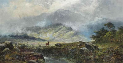 Stags in a misty highland landscape