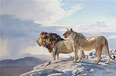 Monarchs of the wilderness