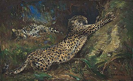 Contentment - leopards