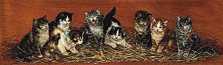 The identity parade